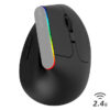 Delux M618C Wireless Mouse Ergonomic Vertical 6 Buttons Gaming Mouse